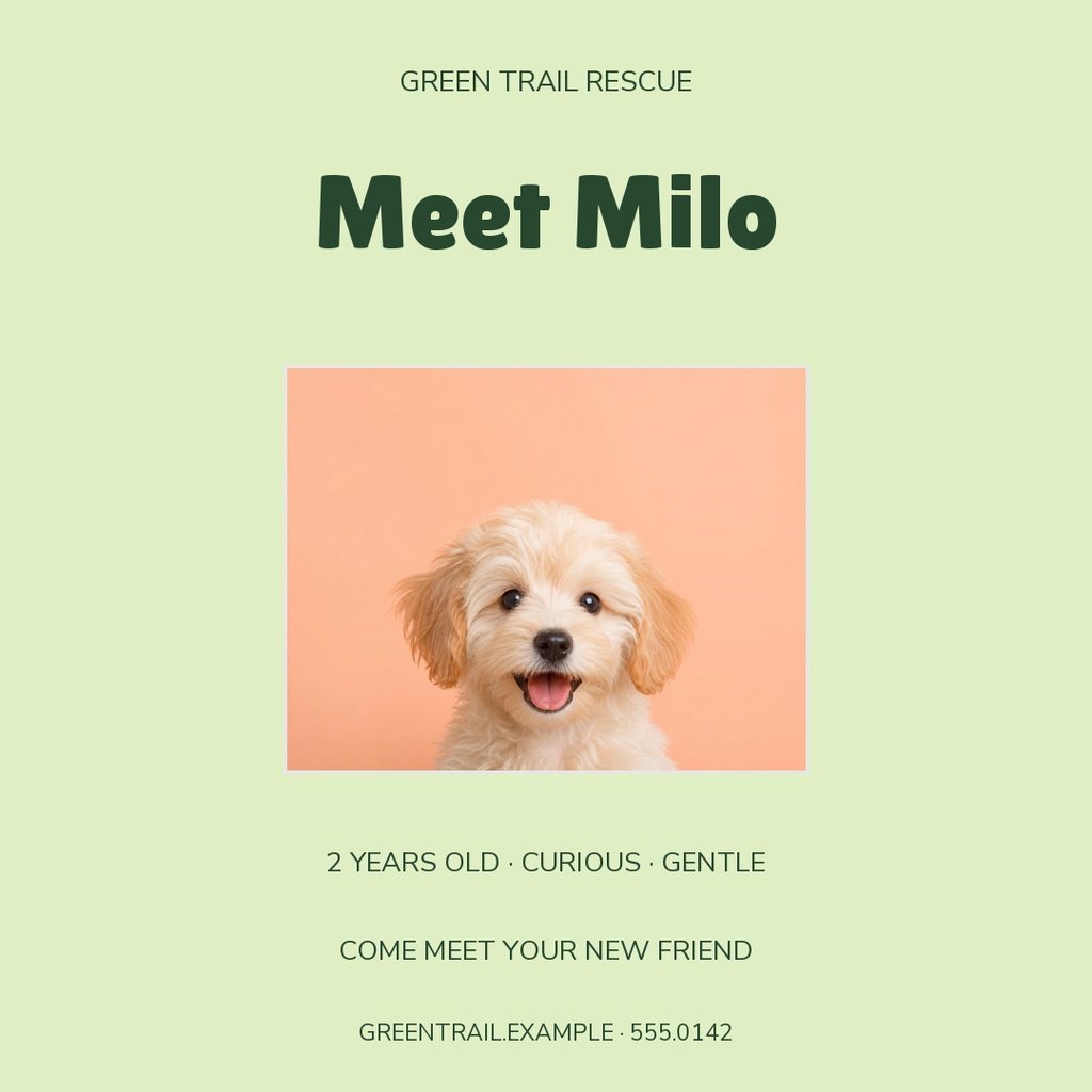 Square post with pale green background, puppy photo, and text reading Meet Milo.