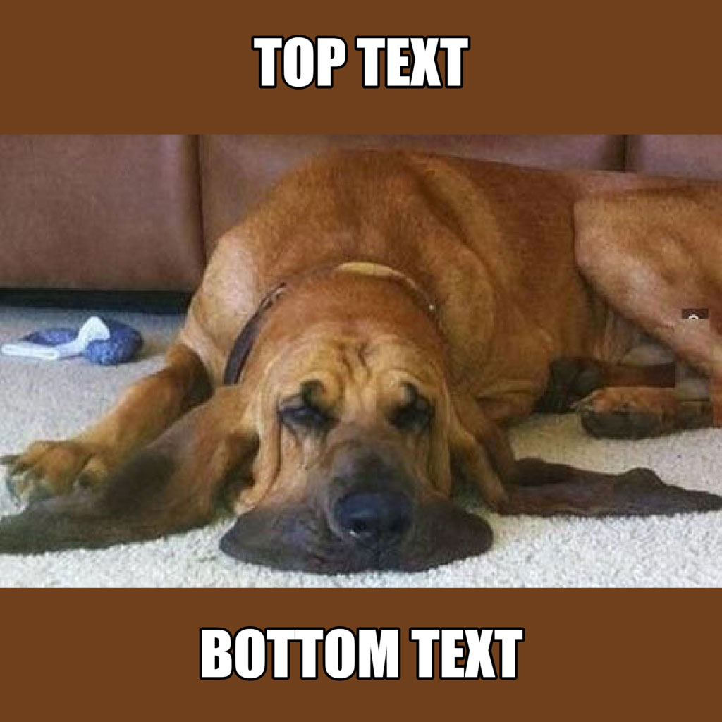 A brown dog lying on a carpeted floor with a sad expression