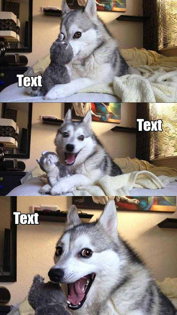 A three-panel image of a husky with a stuffed animal, displaying a range of emotions from calm to playful.