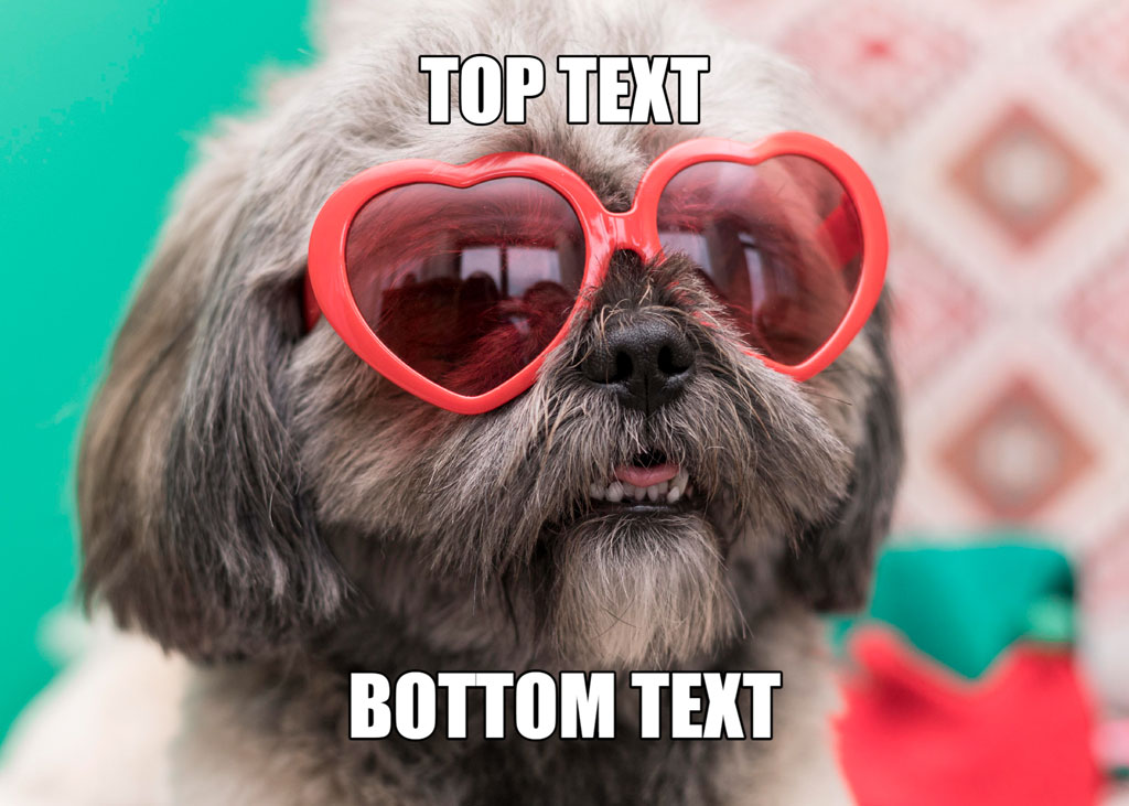 A dog wearing heart-shaped sunglasses with text overlay for meme creation
