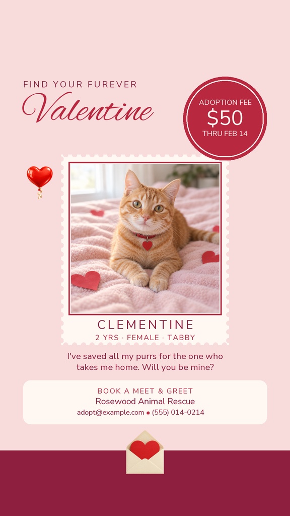 Pink Valentine’s Day story template featuring a cat adoption ad with a cat photo and heart accents.