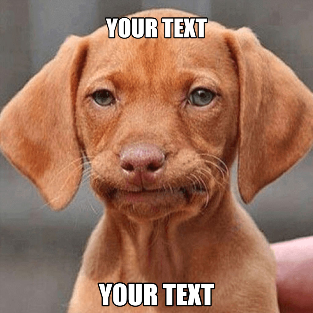 A brown puppy with a cute expression and text overlay