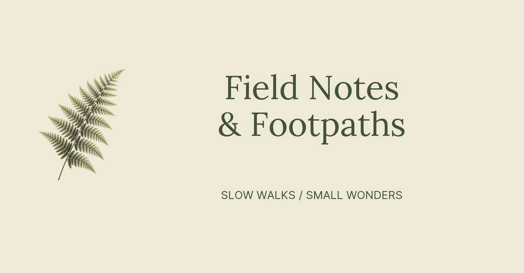 Minimal beige cover with a fern illustration and the text Field Notes & Footpaths.