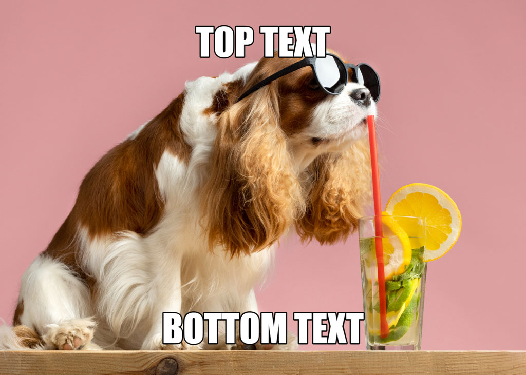 Dog in sunglasses drinking from a glass with a straw