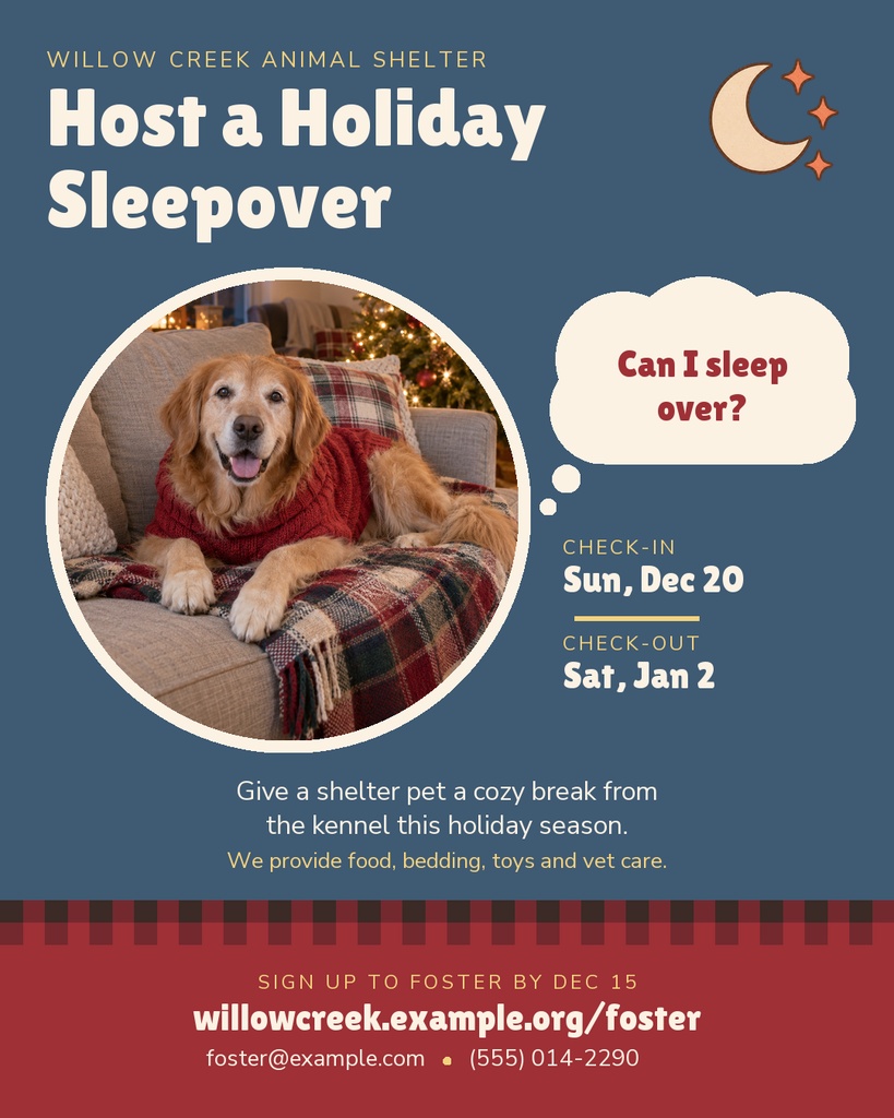 Preview for Holiday Sleepover Fosters Portrait Post Template