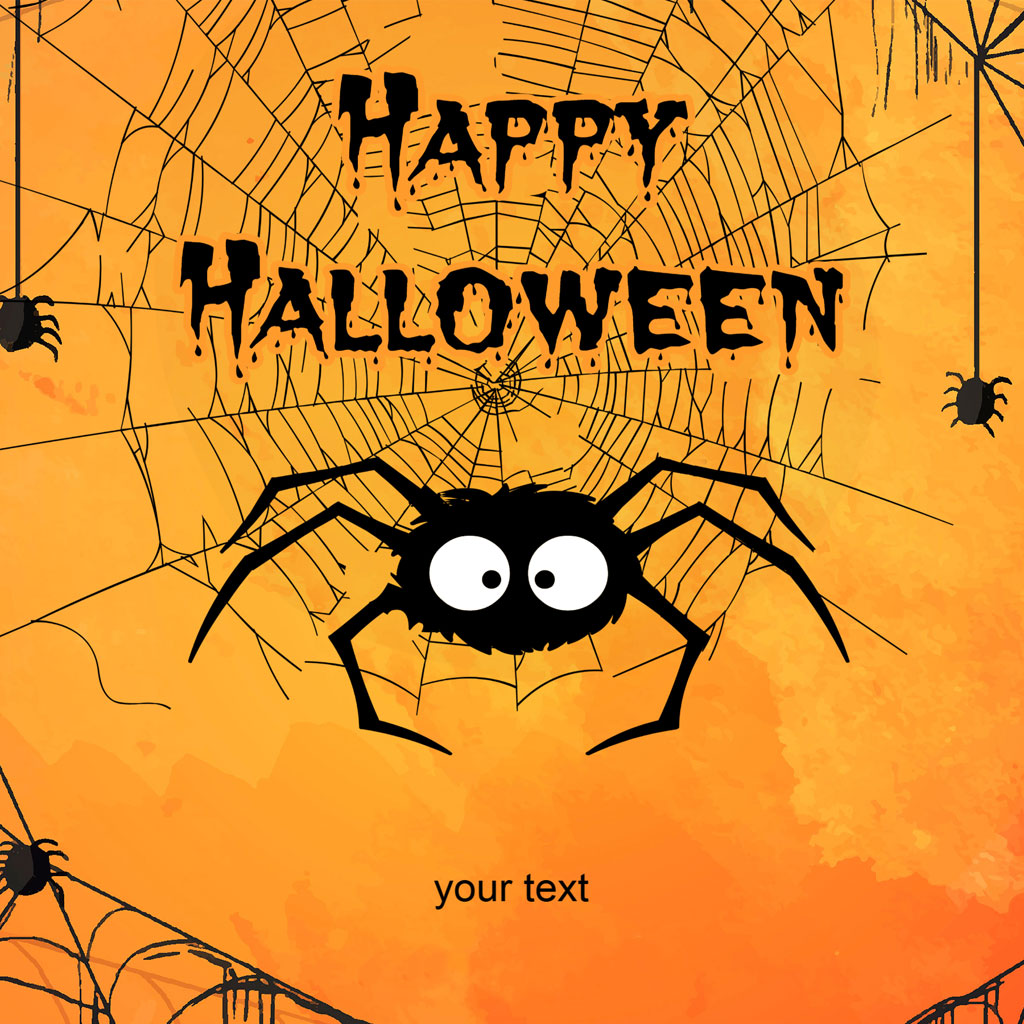 Halloween graphic with spider and web
