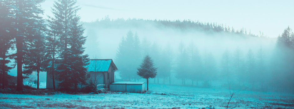 A cabin and shed in a snowy field with evergreen trees and misty forest in the background.
