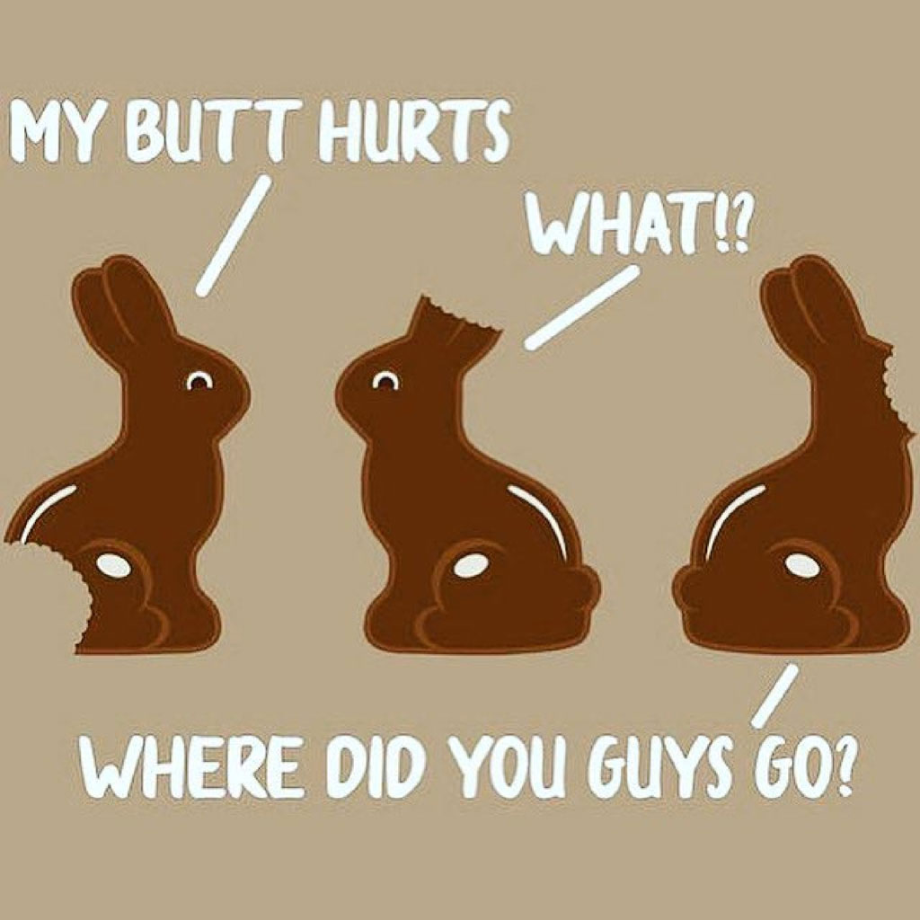 Three chocolate Easter bunnies with missing bottoms and a humorous conversation.
