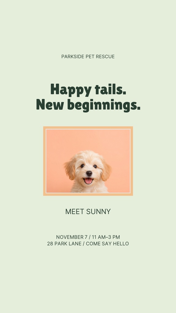 Preview for Happy Tails Adoption Day Story Opener Template