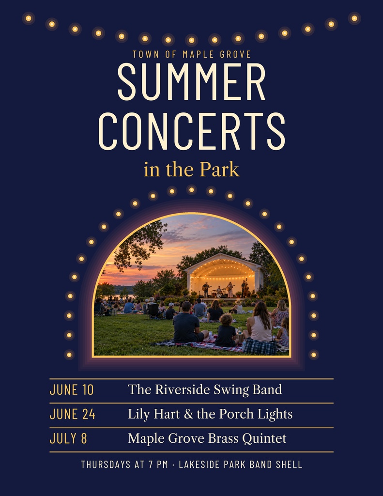 Preview for Summer Concerts In The Park Letter Flyer Template