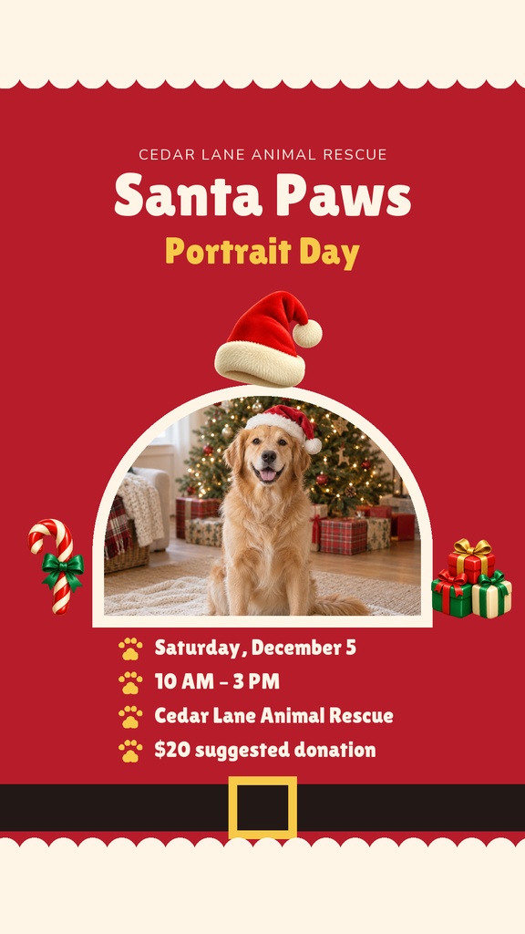 Red Instagram story template with a golden retriever in a Santa hat and holiday event details.