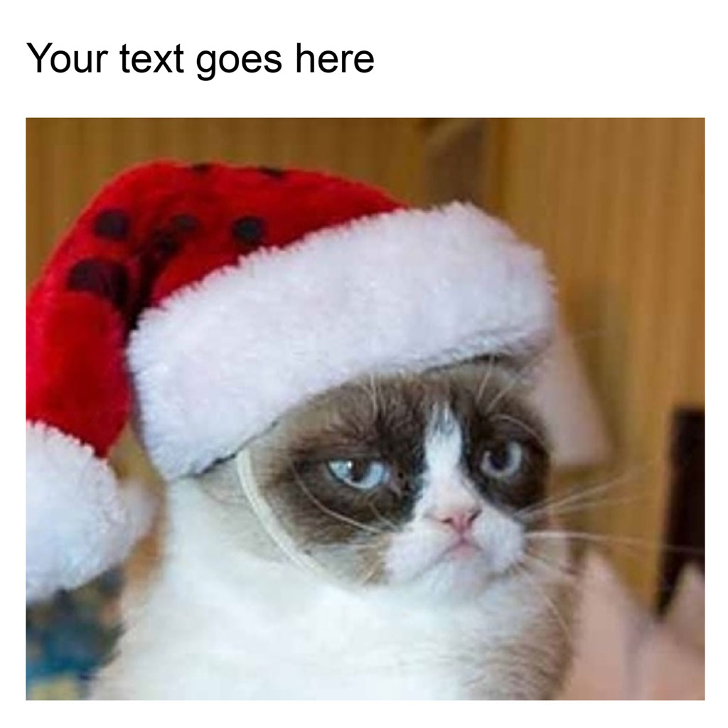 Grumpy Cat in a Santa hat