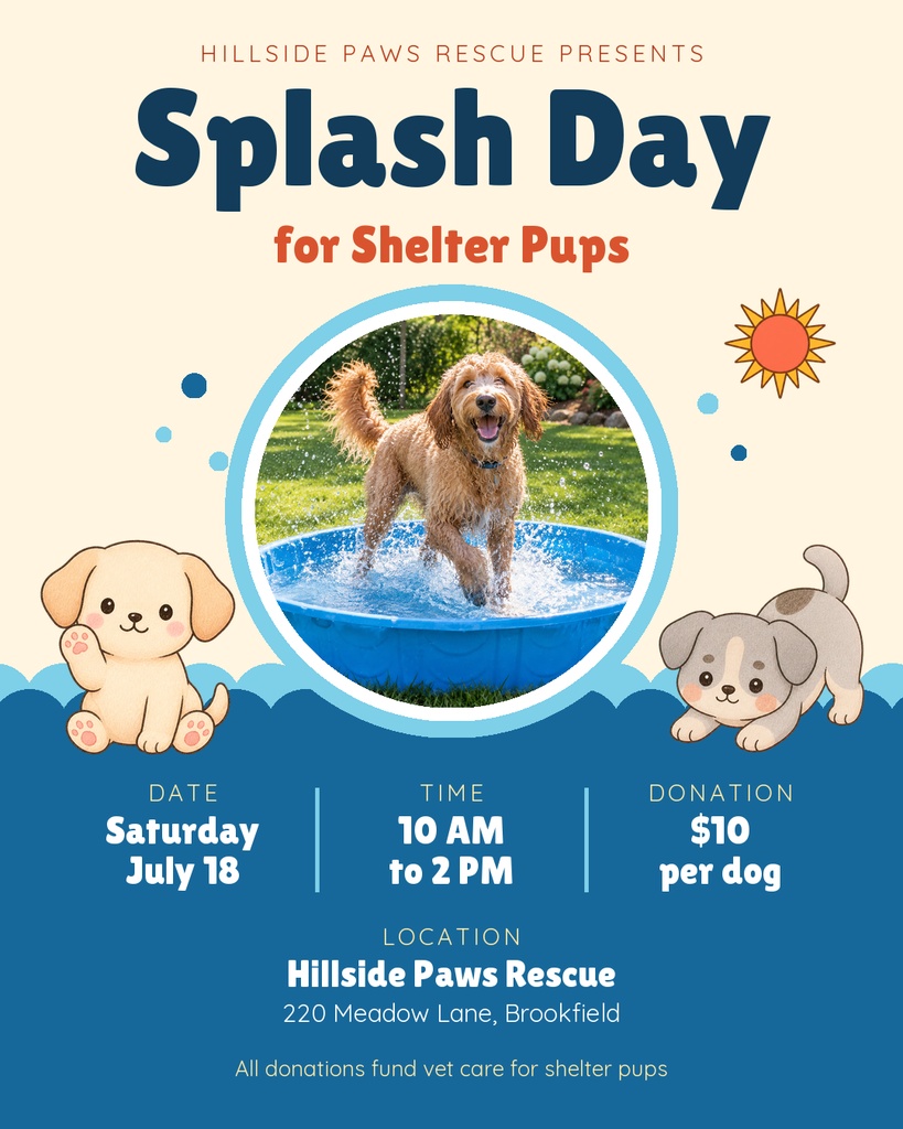 Preview for Splash Day For Shelter Pups Portrait Post Template