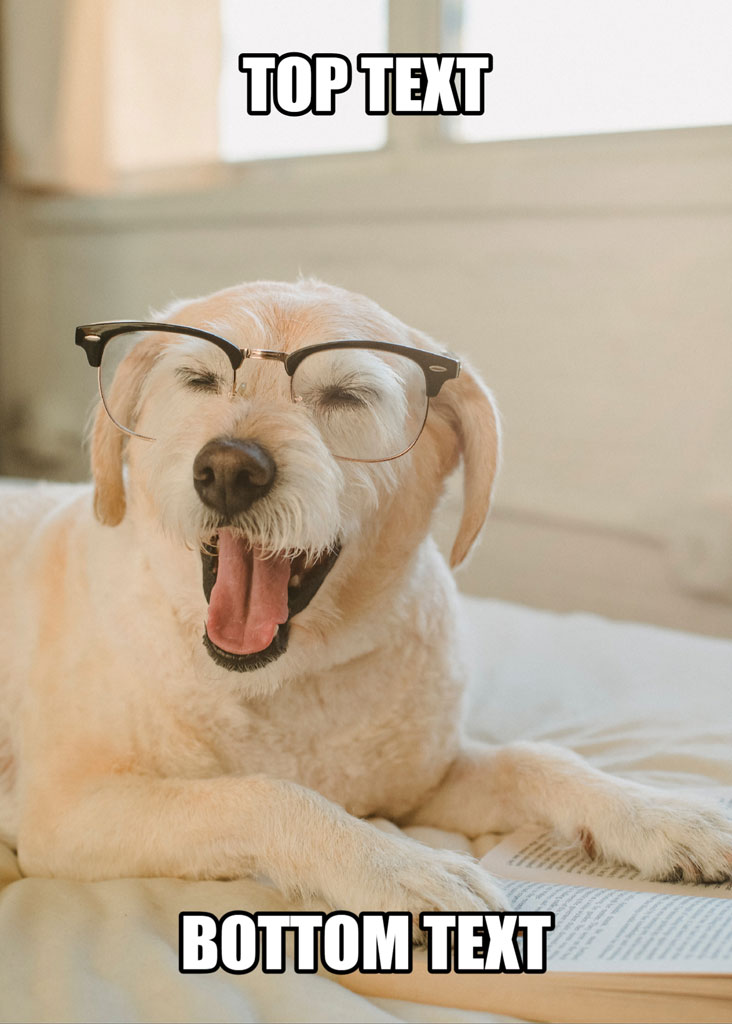 A dog lying on a bed with glasses on, used as a meme template with top and bottom text.