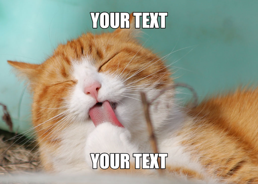 Orange cat licking its paw with 'YOUR TEXT' overlay