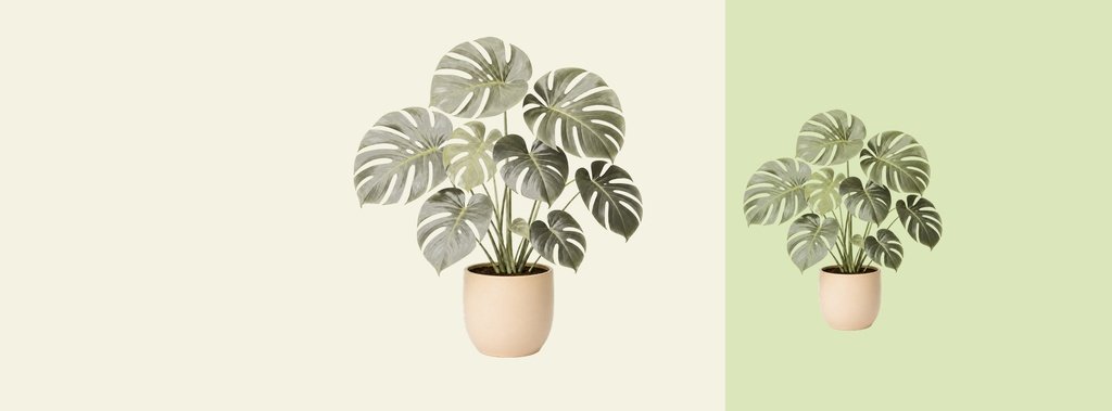 Two potted houseplants on a soft cream and green background