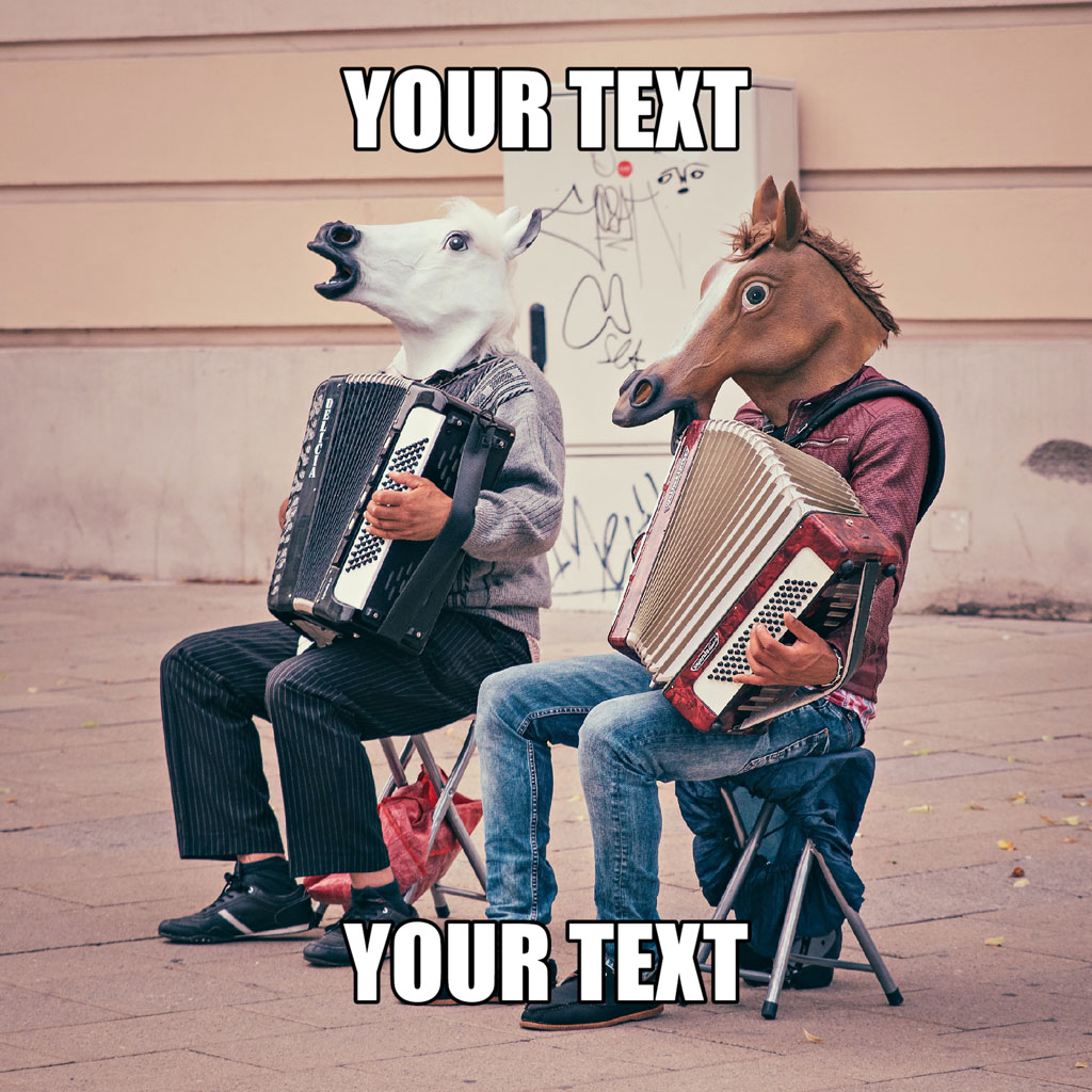 Two people in horse masks playing accordions