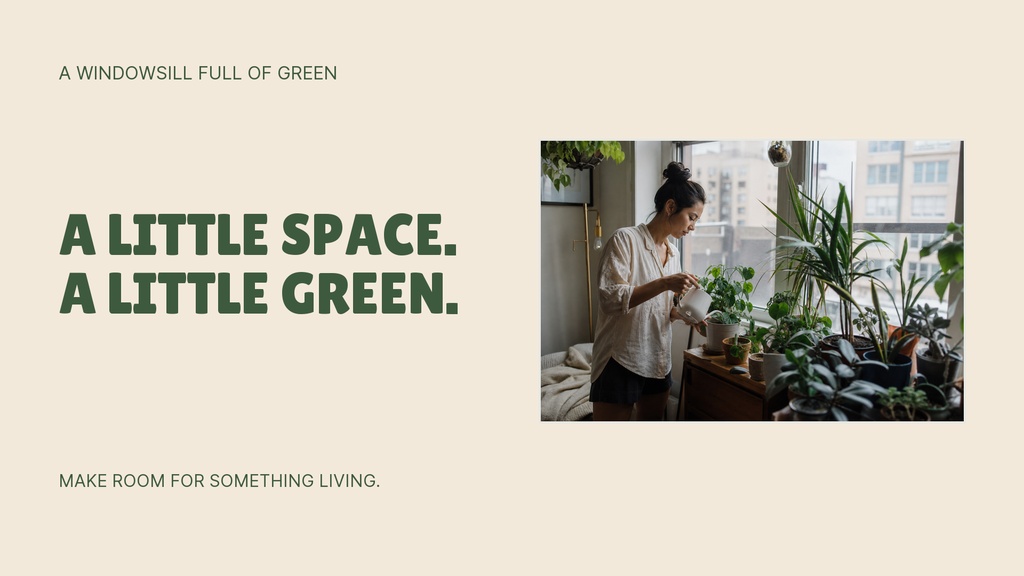Preview for A Windowsill Full Of Green Landscape Graphic Template
