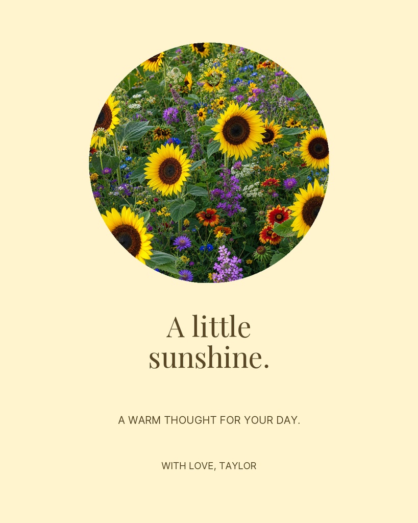 Preview for Sending A Little Sunshine Portrait Post Template