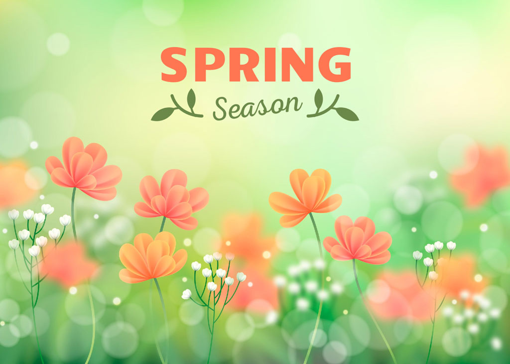 Spring season background with orange flowers