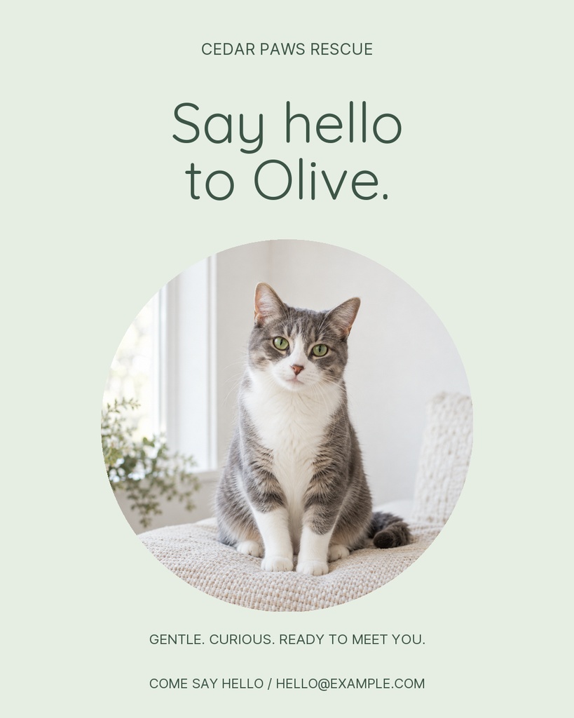 Preview for Olive Finds A Family Portrait Post Template