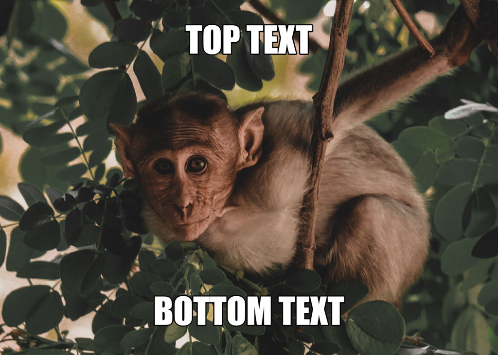 A monkey in a tree with top and bottom text overlay.