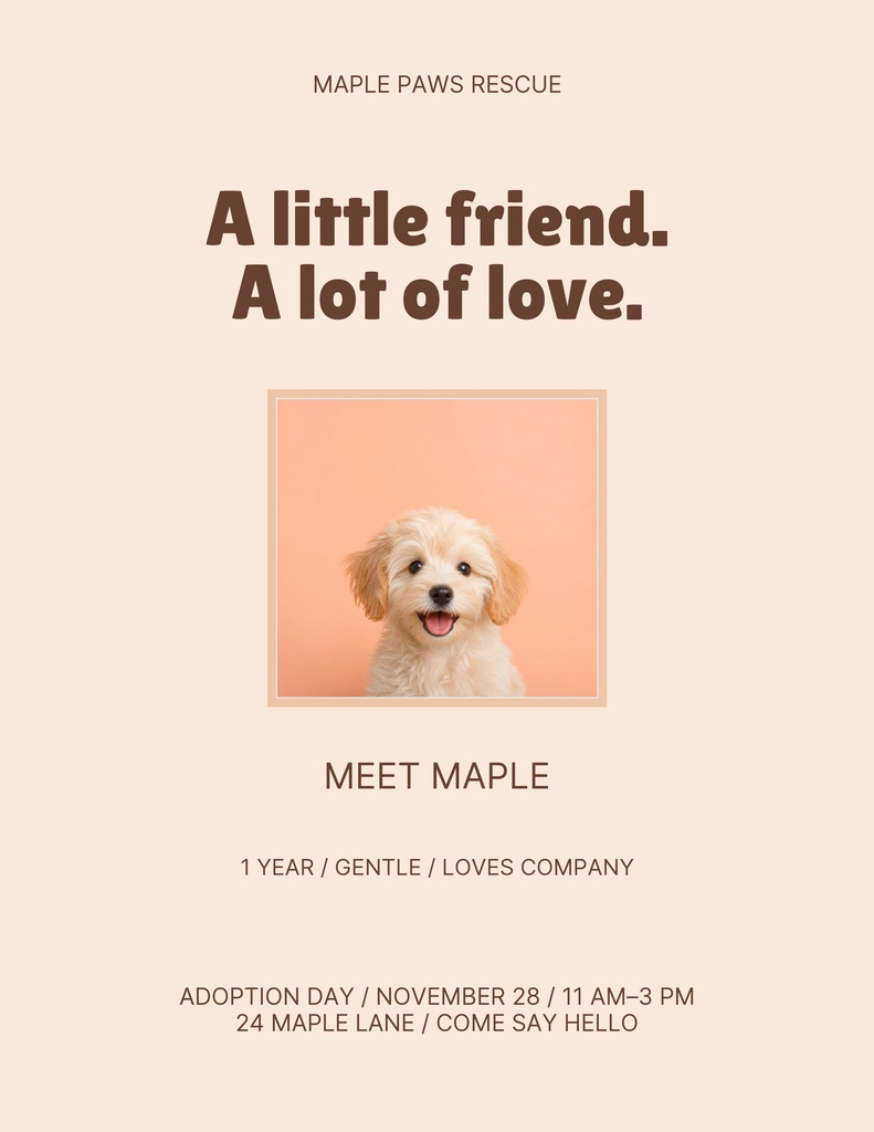 Preview for Meet Maple Letter Flyer Template