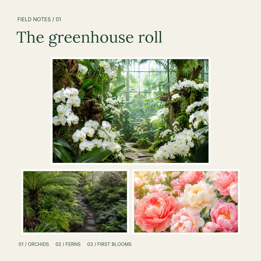 Preview for The Greenhouse Roll Square Collage Template