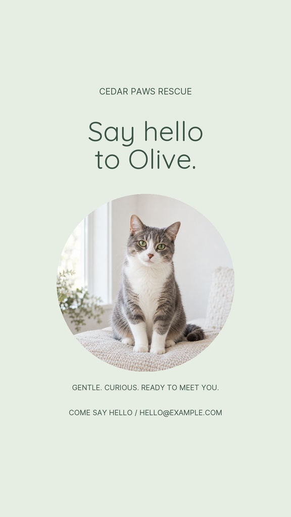 Preview for Olive Finds A Family Story Opener Template