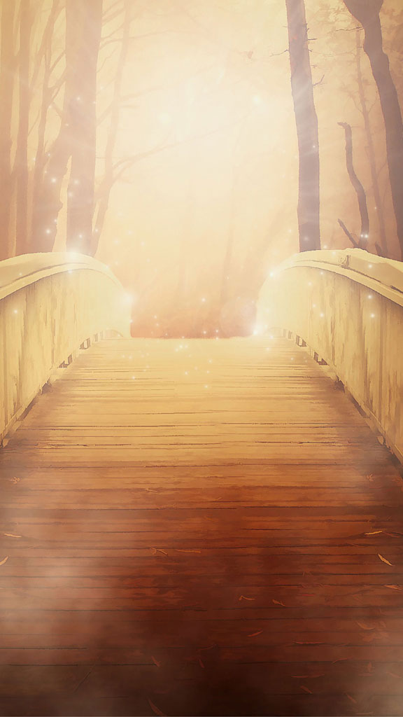 A wooden bridge in a forest with a bright light at the end
