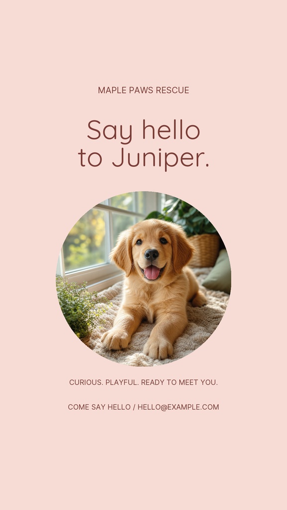 Portrait story opener with a golden retriever puppy on a pale pink background and the text Say hello to Juniper.