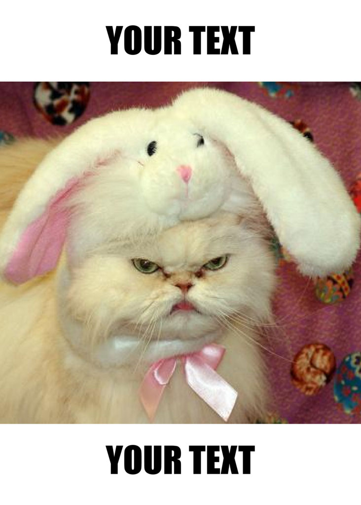 A white cat with a grumpy face wearing bunny ears and a pink bow.