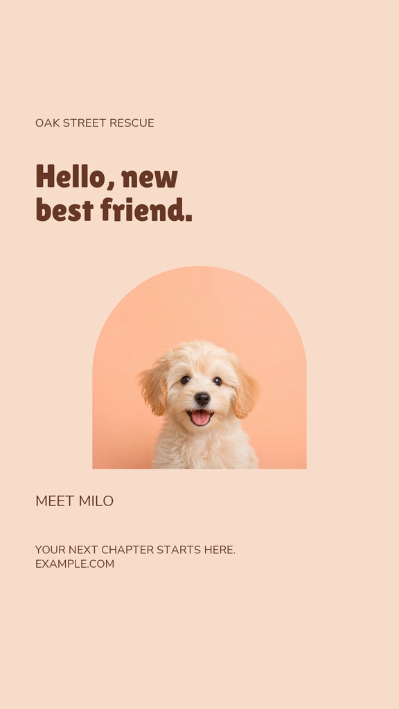 Preview for Hello, New Best Friend Story Opener Template