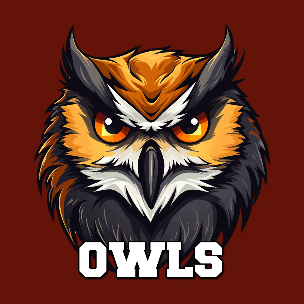 Illustration of an owl's face with orange eyes and black beak