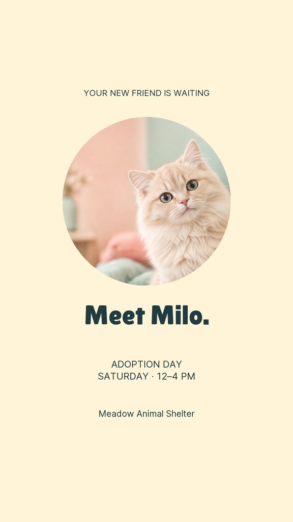 Preview for Hello Little Whiskers Story Opener Template