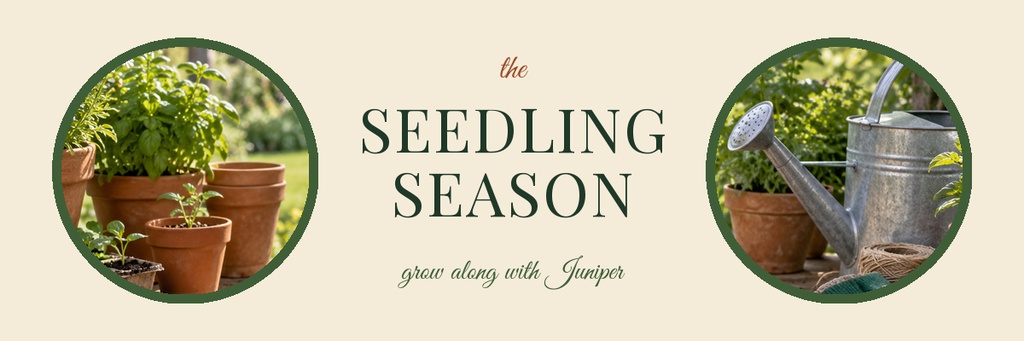 Gardening email header with potted seedlings, watering can, and the words The Seedling Season.