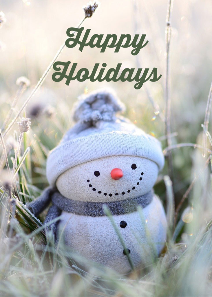Snowman in a frosty field with Happy Holidays text