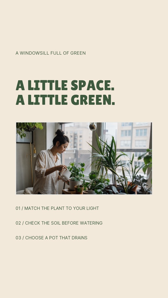 Woman caring for houseplants beside a bright windowsill filled with greenery and gardening tips text.