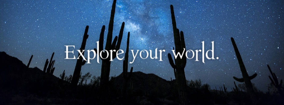 Cacti silhouetted against a starry night sky with the Milky Way visible