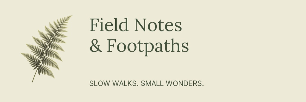 Beige email header with a fern illustration and the words Field Notes and Footpaths.