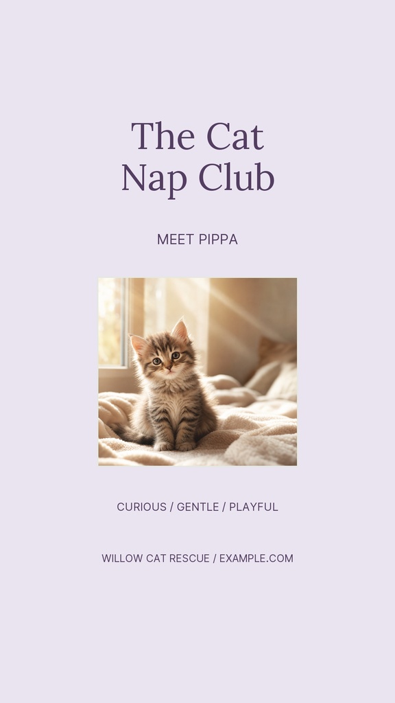 Preview for The Cat Nap Club Story Opener Template