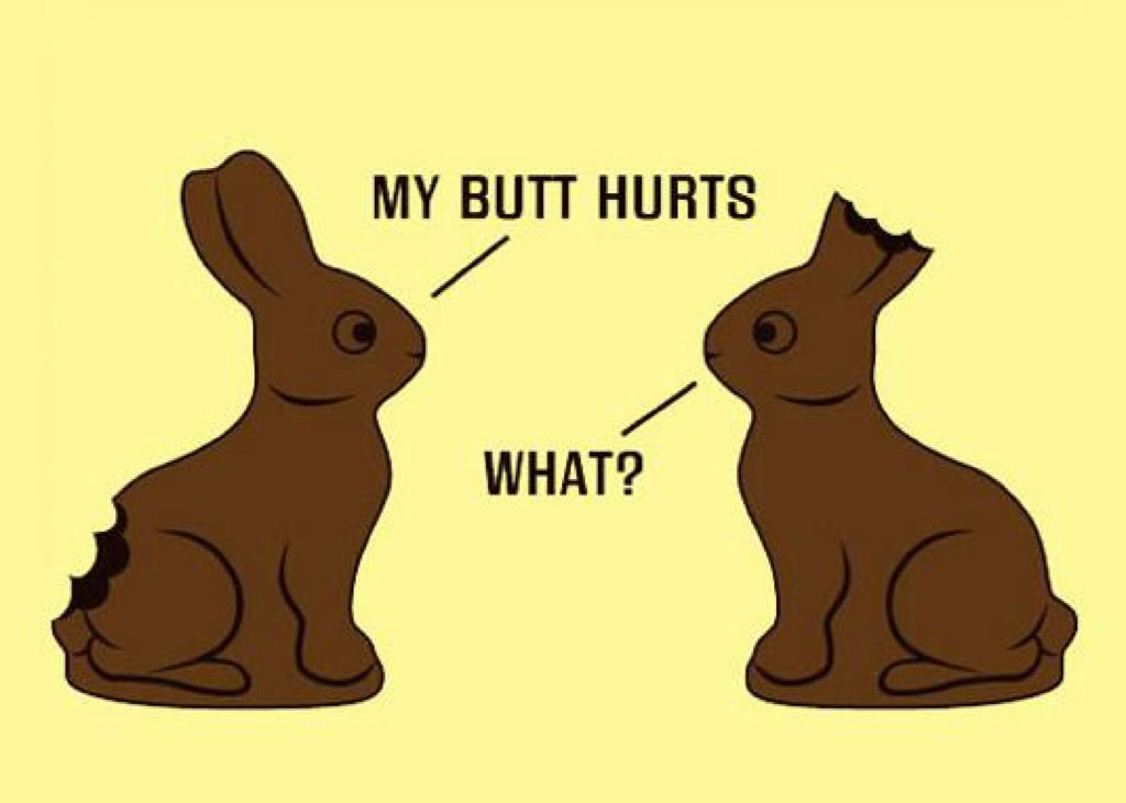 Two chocolate Easter bunnies, one with a bitten bottom, joking about a sore behind.
