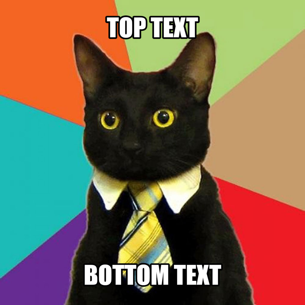 Black cat in a yellow tie and white collared shirt