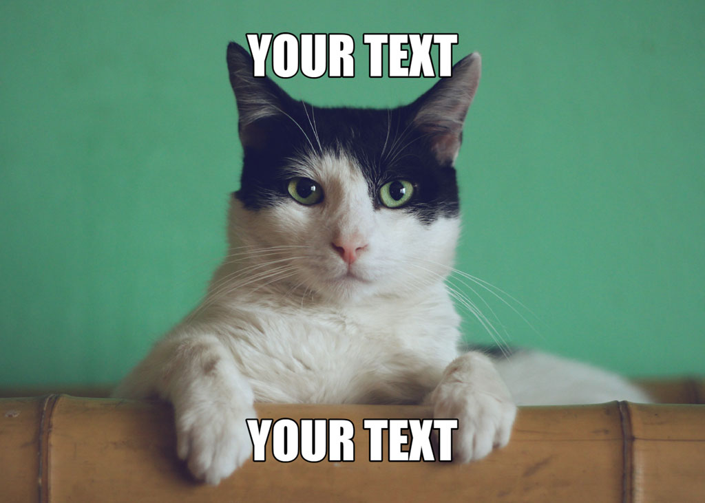 A black and white cat with green eyes peeking over a wooden surface against a green background.