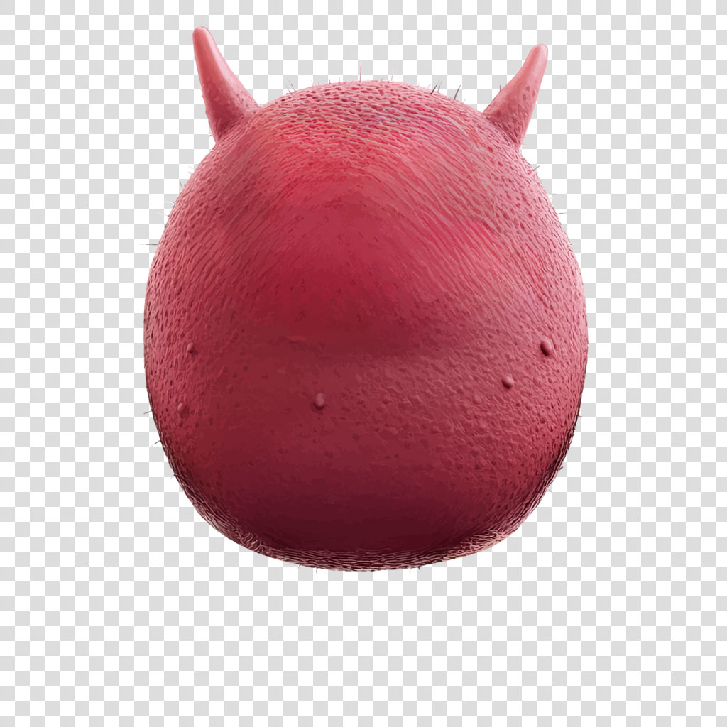 A red, textured sphere with two small horns on top.