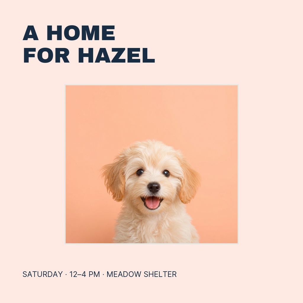 Preview for A Home For Hazel Square Post Template
