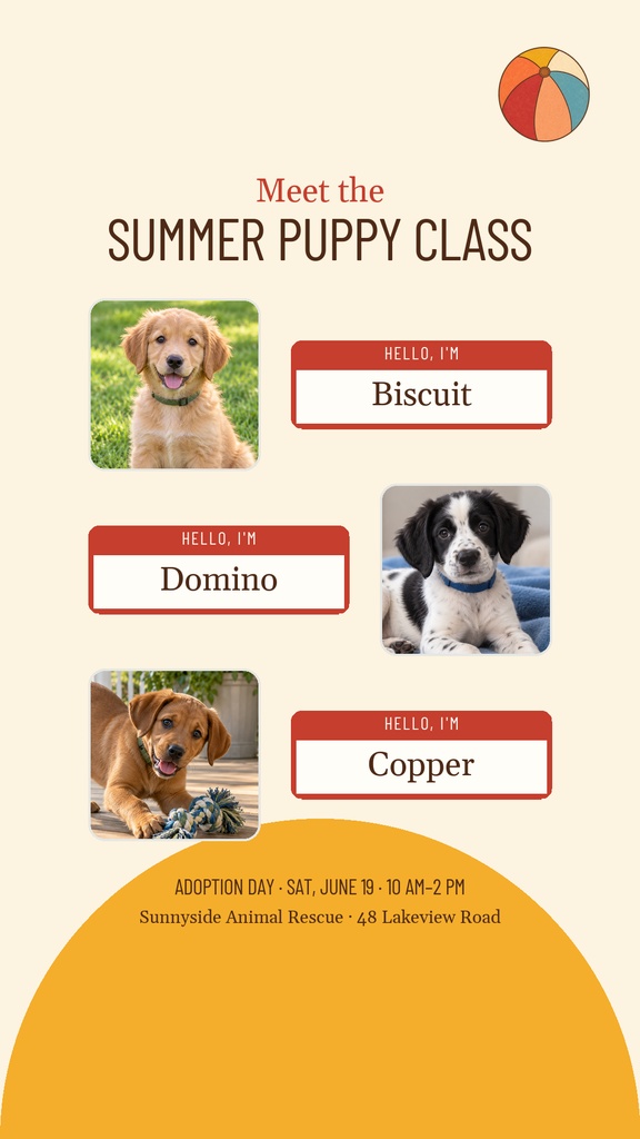 Portrait Instagram story with three puppy photos, adoption labels, and a summer puppy class headline.