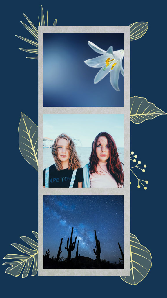 A collage of three photos including a desert night sky with cacti.