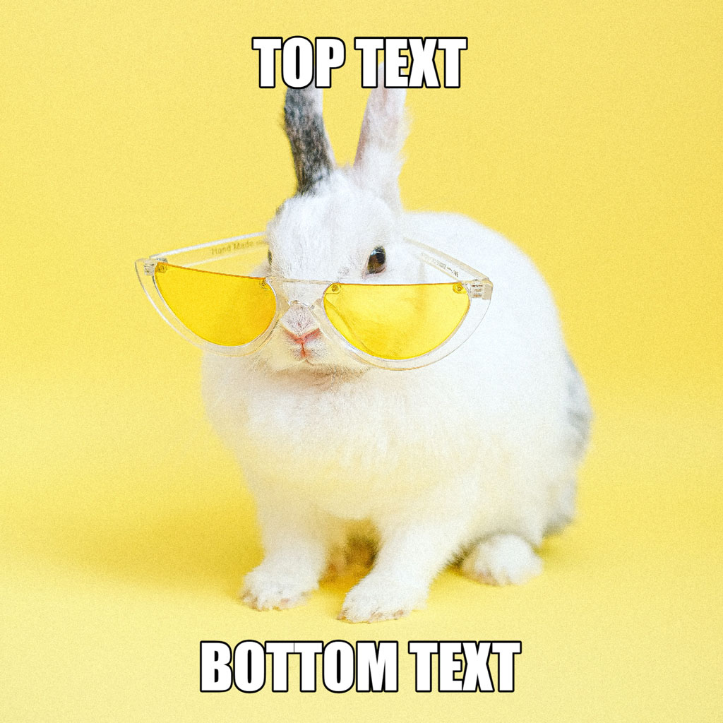 A white rabbit with yellow sunglasses against a yellow background