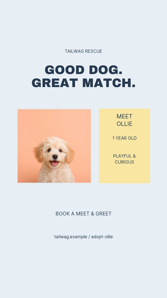 Instagram story layout with a puppy photo, bold headline, and dog adoption details blocks